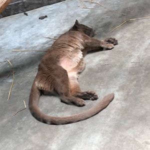 Meet your Posher, Kellie